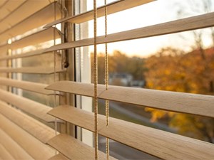 ¿Cómo las persianas venecianas pueden transformar la luz del entorno?