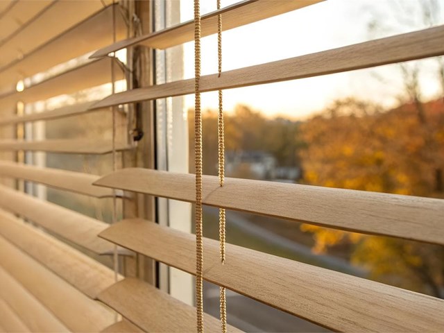 ¿Cómo las persianas venecianas pueden transformar la luz del entorno?